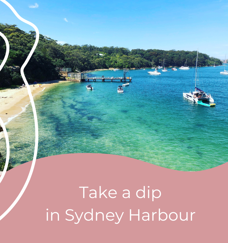 Sydney Harbour 4hr Private Catamaran Boat Charter