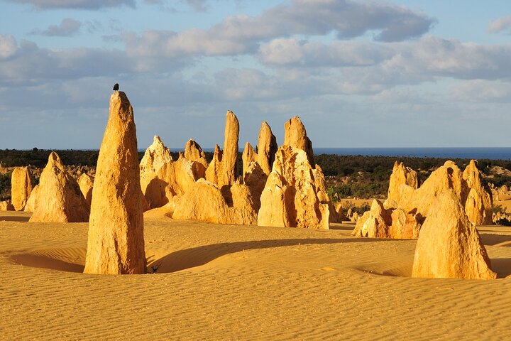 3-Day Western Australia Tour from Perth
