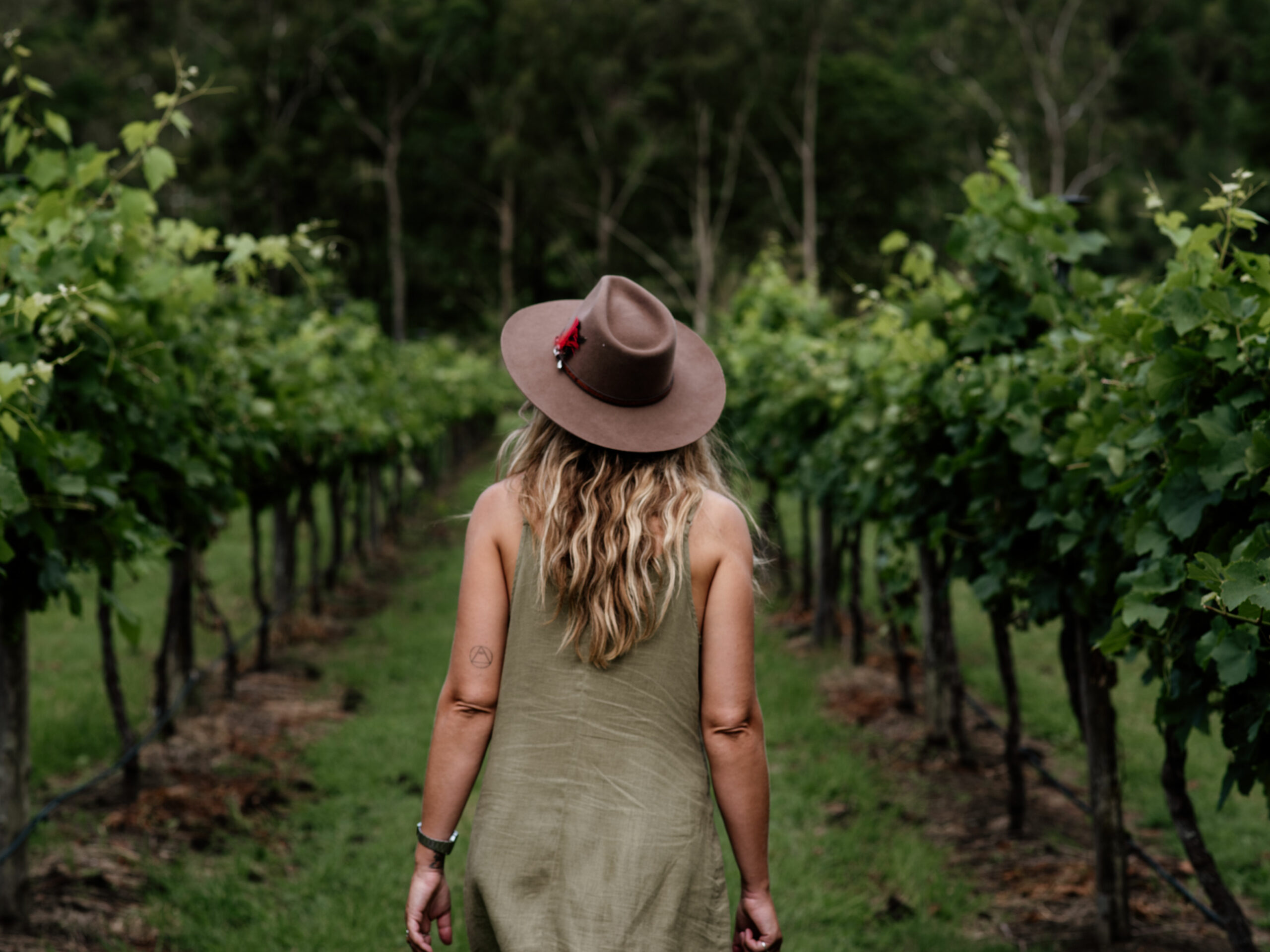 Tamborine Mountain Tourist Shuttle - Hop on Hop Off