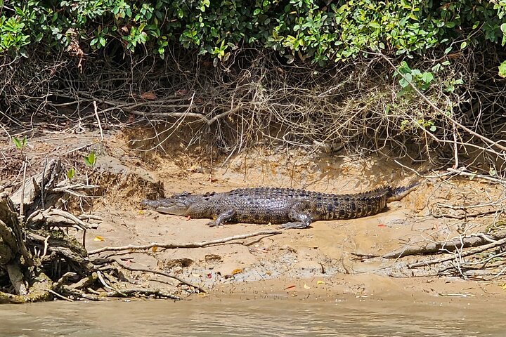 Private Wildlife Waterfalls and Wine Day Tour from Sydney