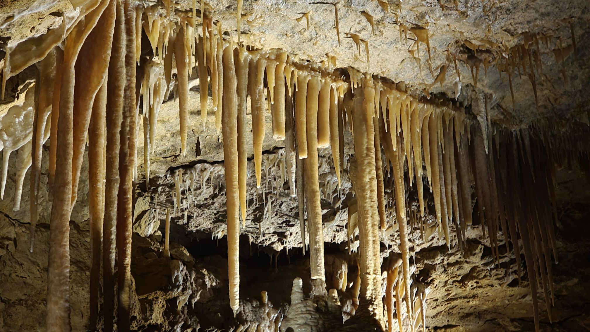 Caves, Cabernet, & Kangaroos