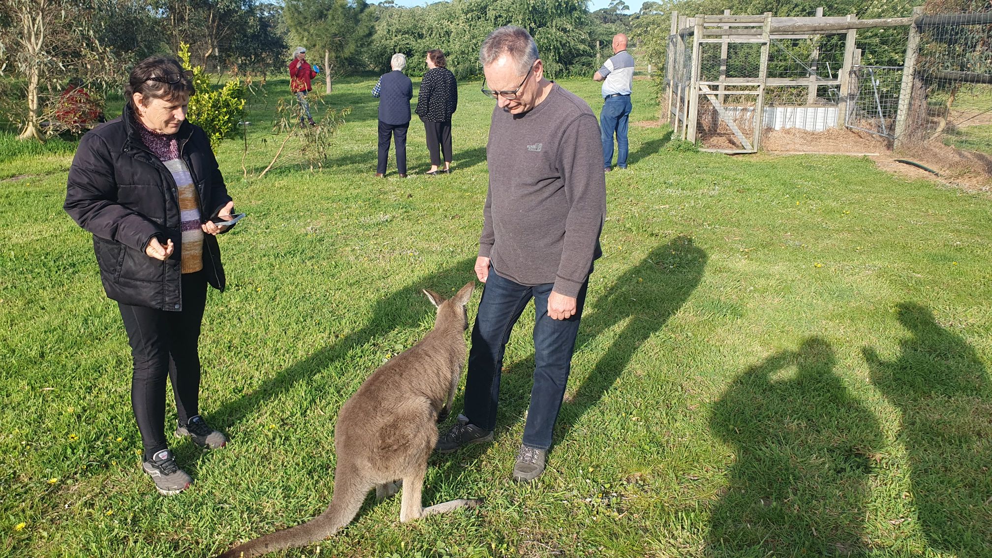 Caves, Cabernet, & Kangaroos