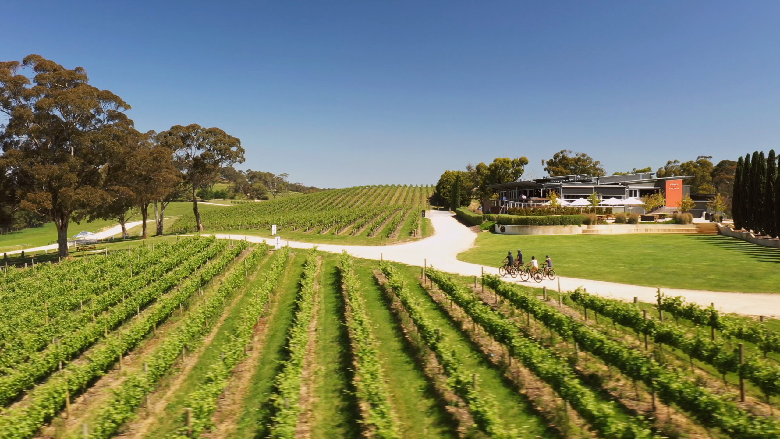 ‘A Taste of Hahndorf’ Gourmet Food & Wine e-Bike Tour (Private)