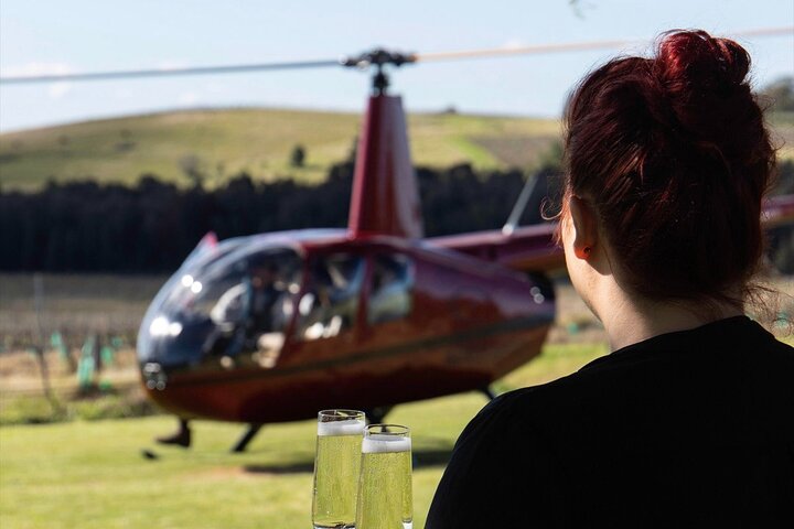 Private Helicopter Tour to Hunter Valley with Lunch