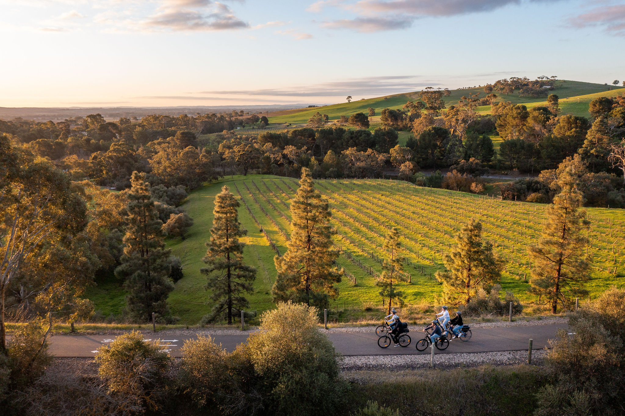 'Experience Barossa' Gourmet Food & Wine E-Bike Tour (Private)