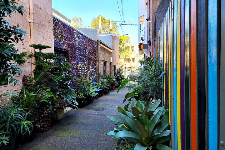 Historical True Crime Walking Tour of East Sydney