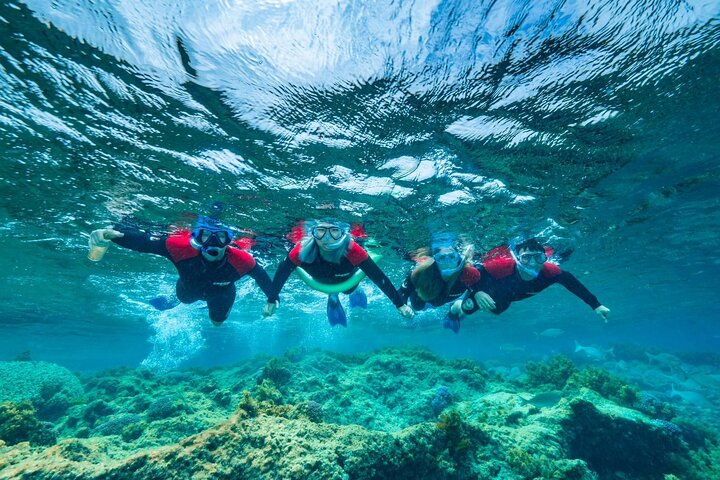 Guided Snorkeling Busselton Jetty and Underwater Sculptures