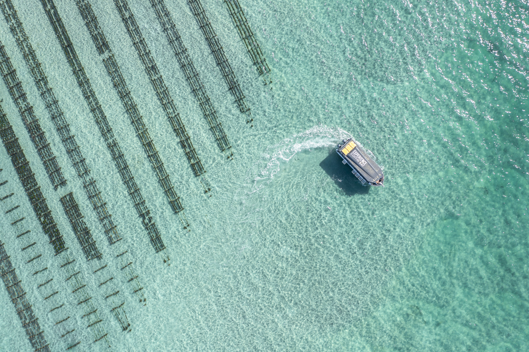 Private - Farm & Bay Tour - Including Wading Experience