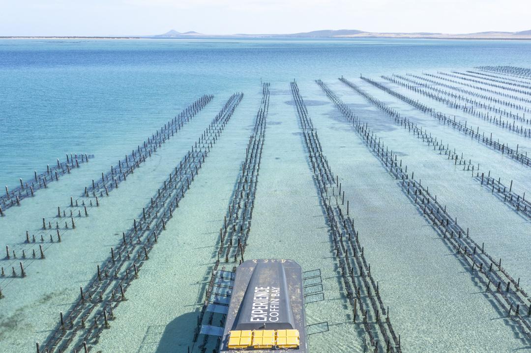 Private - Farm & Bay Tour - Including Wading Experience