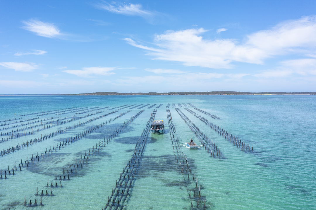 Private - Farm & Bay Tour - Including Wading Experience