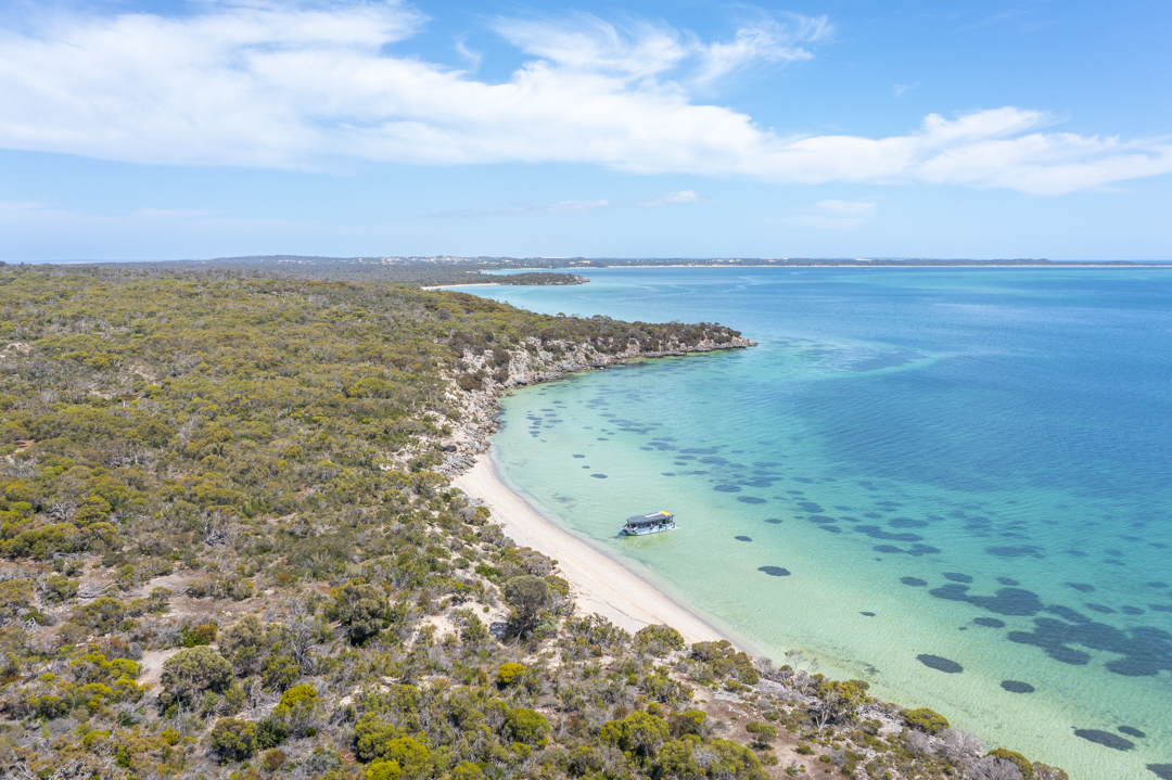 Private - Farm & Bay Tour - Including Wading Experience