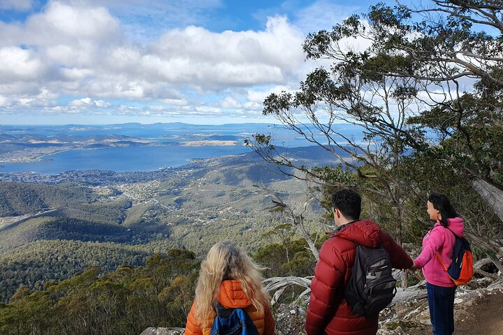 4-Hour Mount Wellington Arrival Tour with Organ Pipes Walk