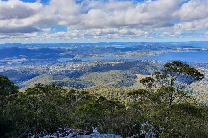 4-Hour Mount Wellington Arrival Tour with Organ Pipes Walk