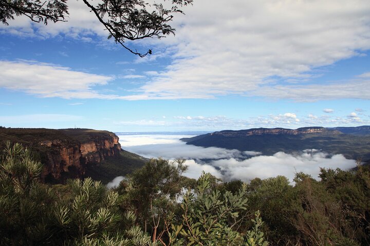 Roos, Blues & Views