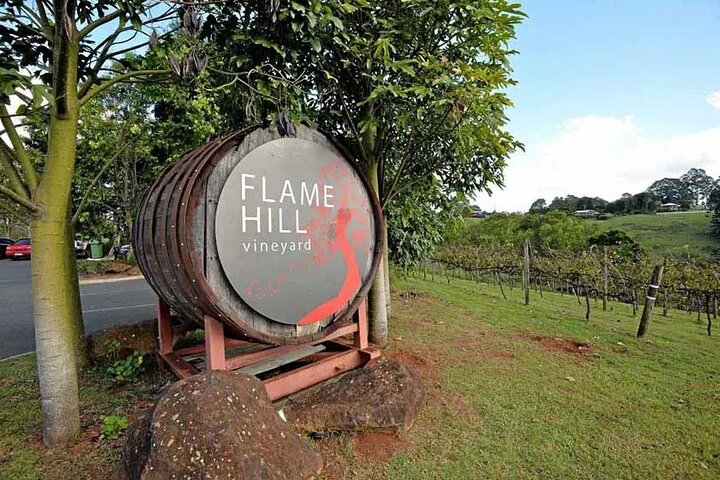 Flame Hill Vineyard Helicopter Tour – Glasshouse Mt Experience
