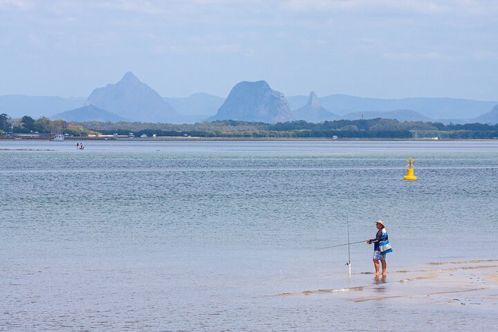 Full Day Birdlife Tour in Bribie Island