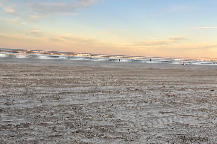 Pipi Catching and Cooking Experience in Goolwa