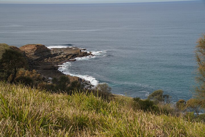 Royal National Park Day Trip Hike