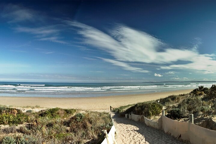 Pipi Catching and Cooking Experience in Goolwa