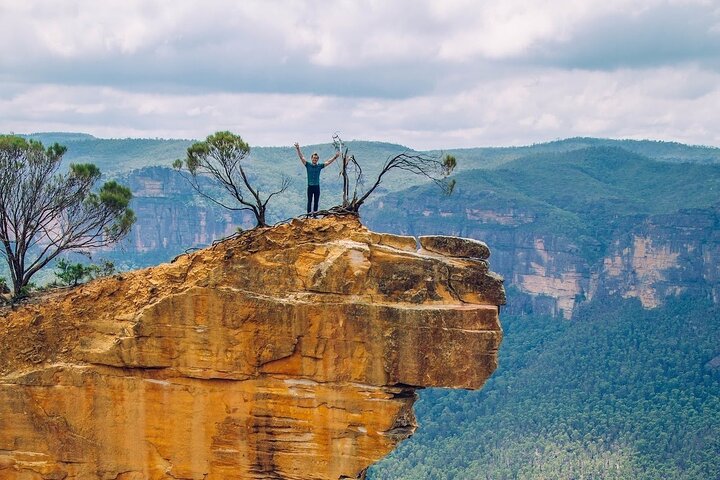 Roos, Blues & Views