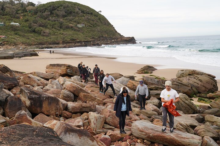 Royal National Park Day Trip Hike