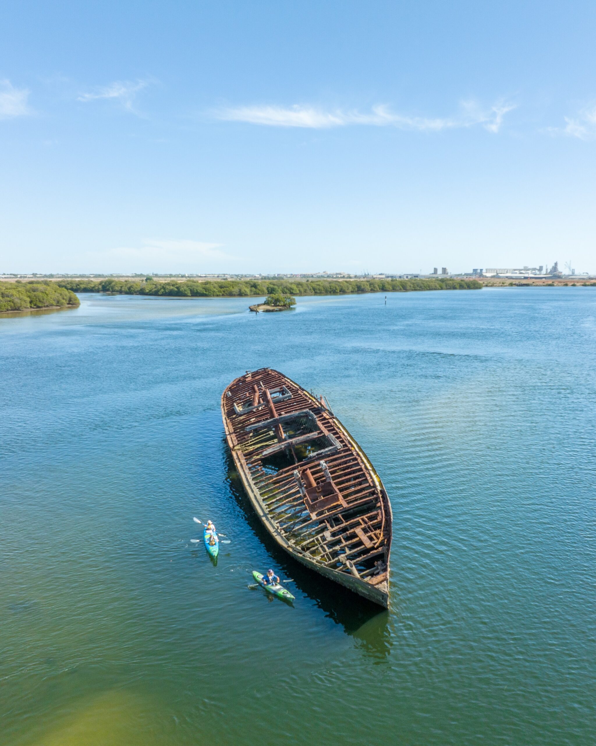 Dolphin Sanctuary & Ships Graveyard Kayak Tour (up to 3 hours)