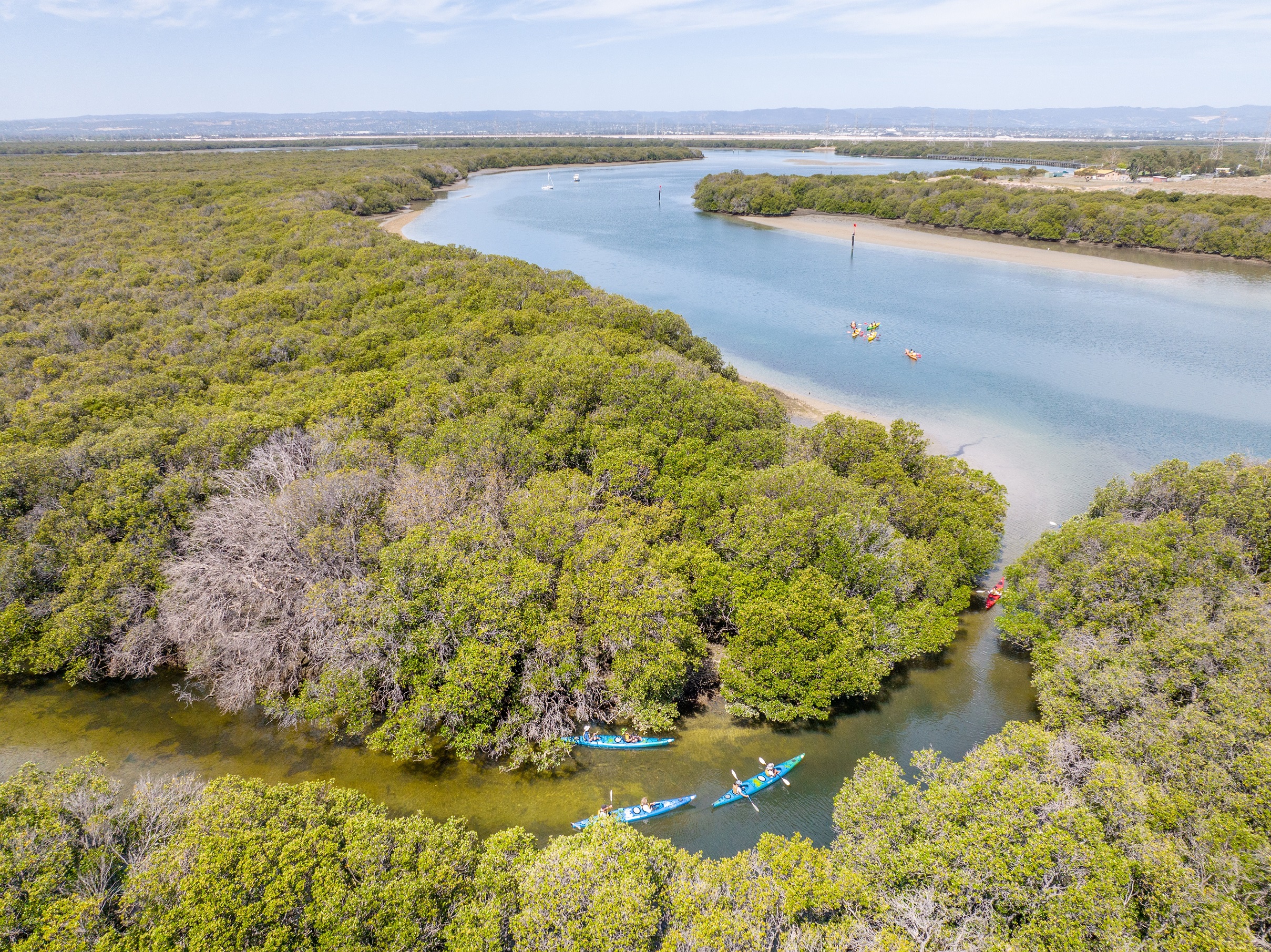 Dolphin Sanctuary & Ships Graveyard Kayak Tour (up to 3 hours)