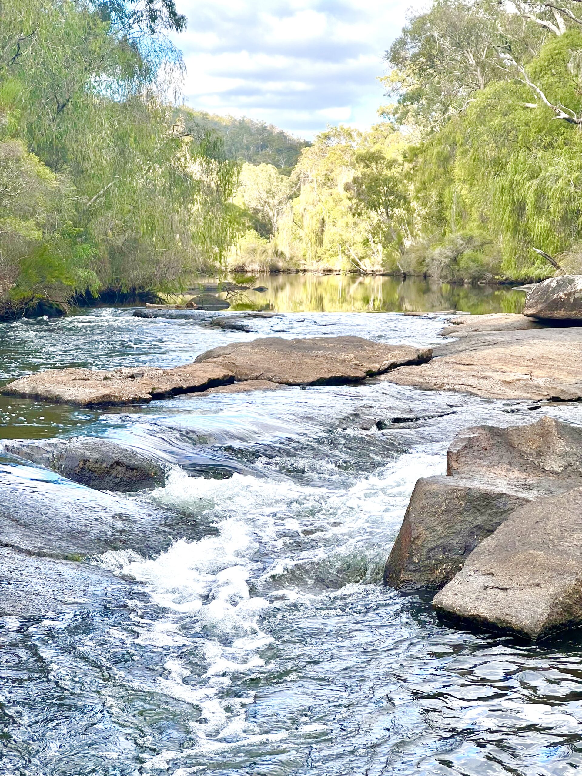 Wellington Dam Delights on E-Bikes