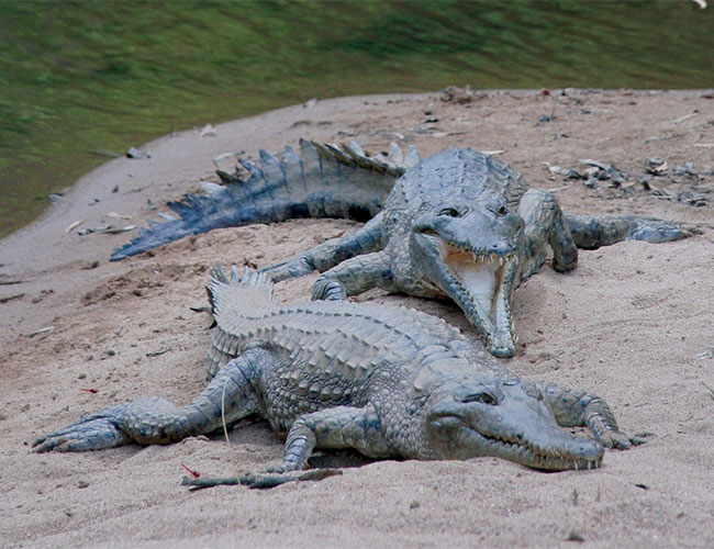 10 Day Darwin to Broome Outback