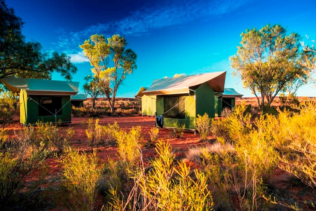 Autopia Tours: Kings Canyon Mereenie Loop to West MacDonnell 3 Day - Safari Tent from Ayers Rock