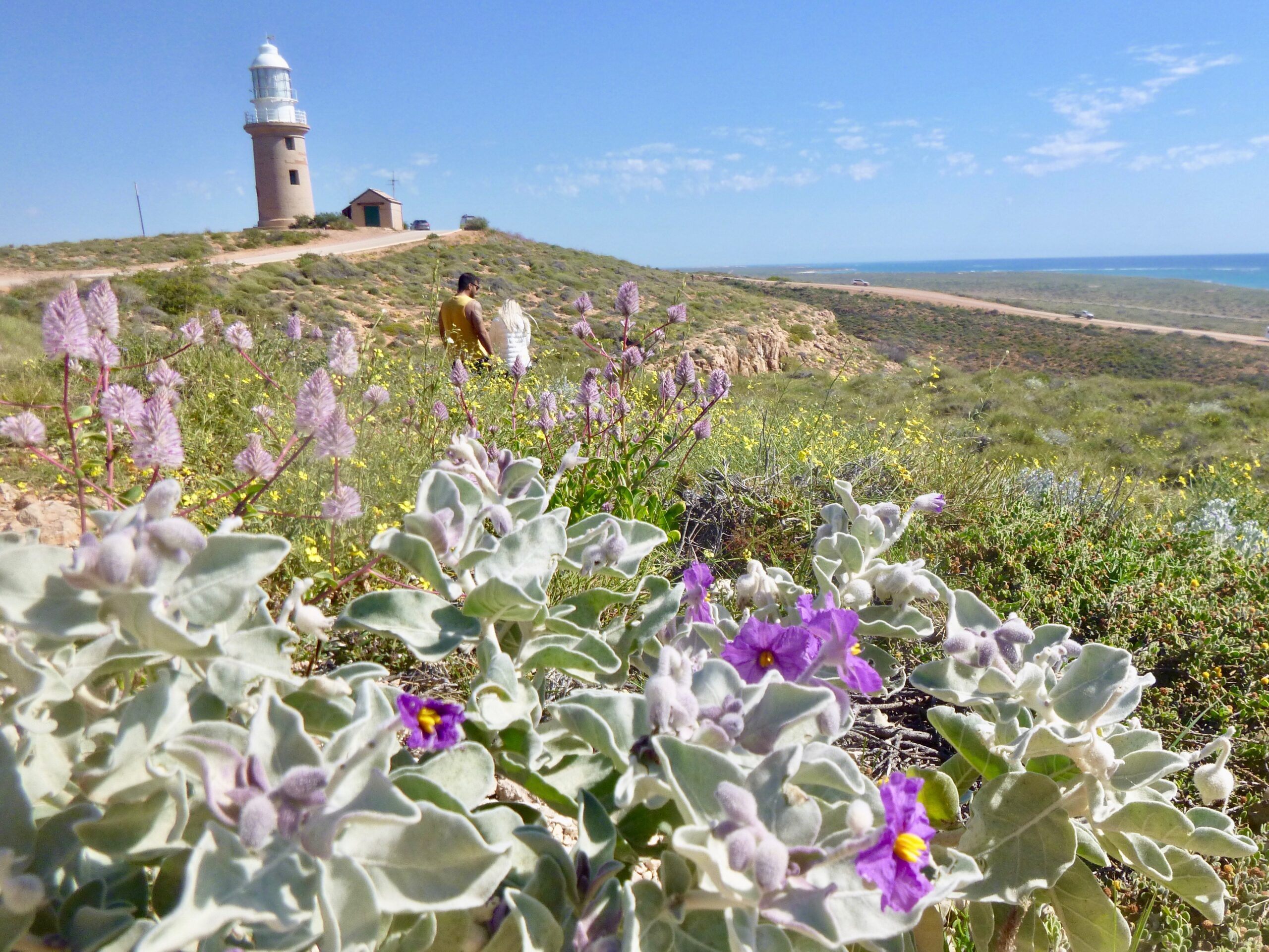 Exmouth History & Heritage Half Day Tour