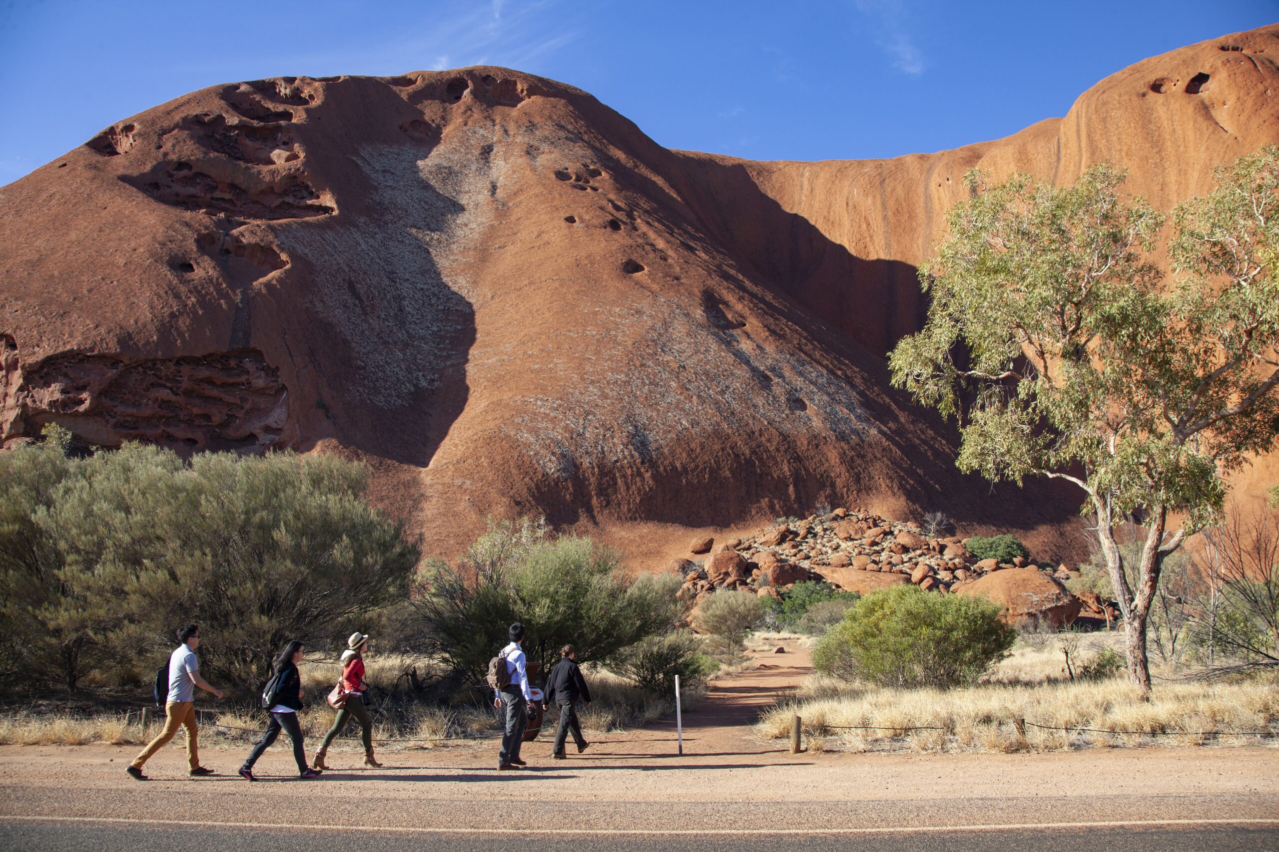 Autopia Tours: Red Centre Overnight Escape 2 Day - Safari Tent from Alice Springs