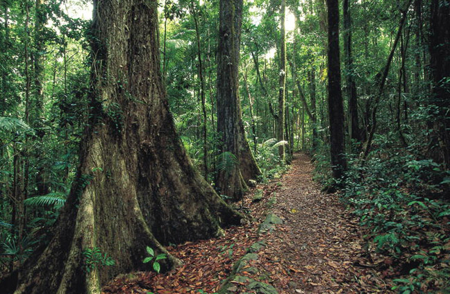 Platypus &  Waterfalls Tour.