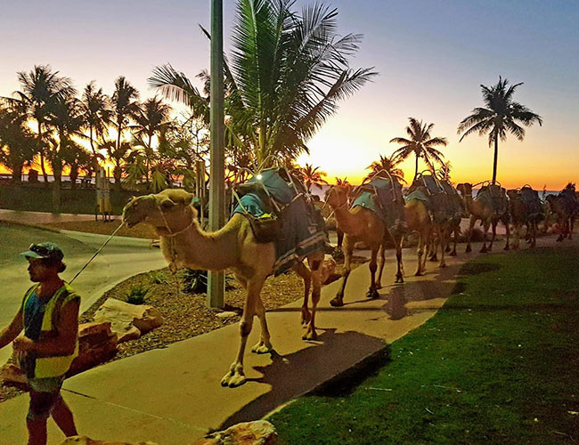 10 Day Broome to Perth Safari