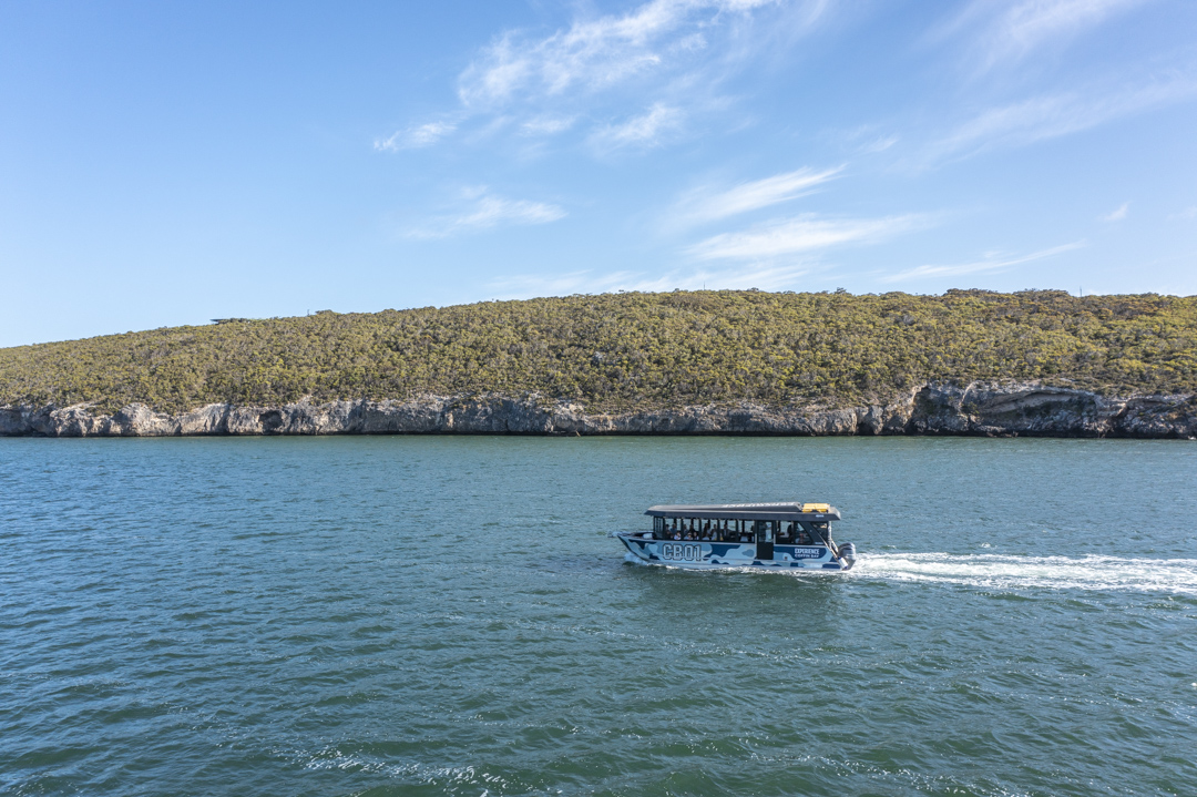 Private - Short & Sweet Oyster Farm Tour - 6 Oysters Included