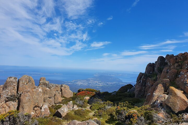 4-Hour Mount Wellington Arrival Tour with Organ Pipes Walk