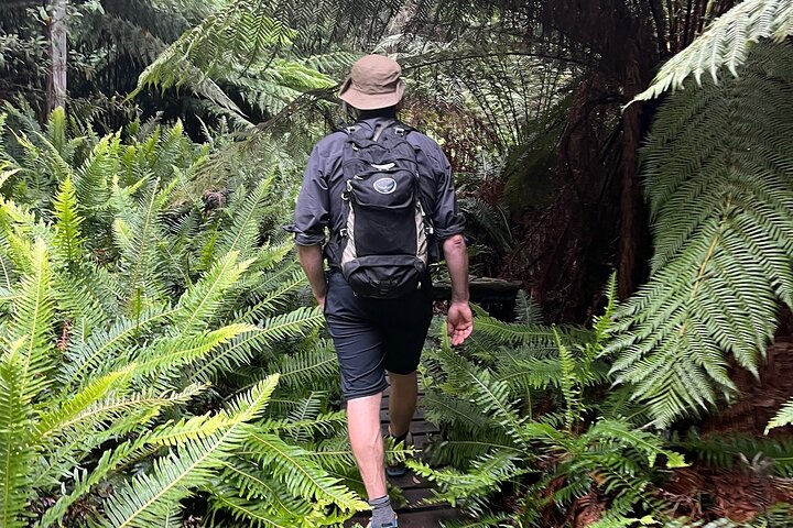 5-Day Tasmanian Private Tour