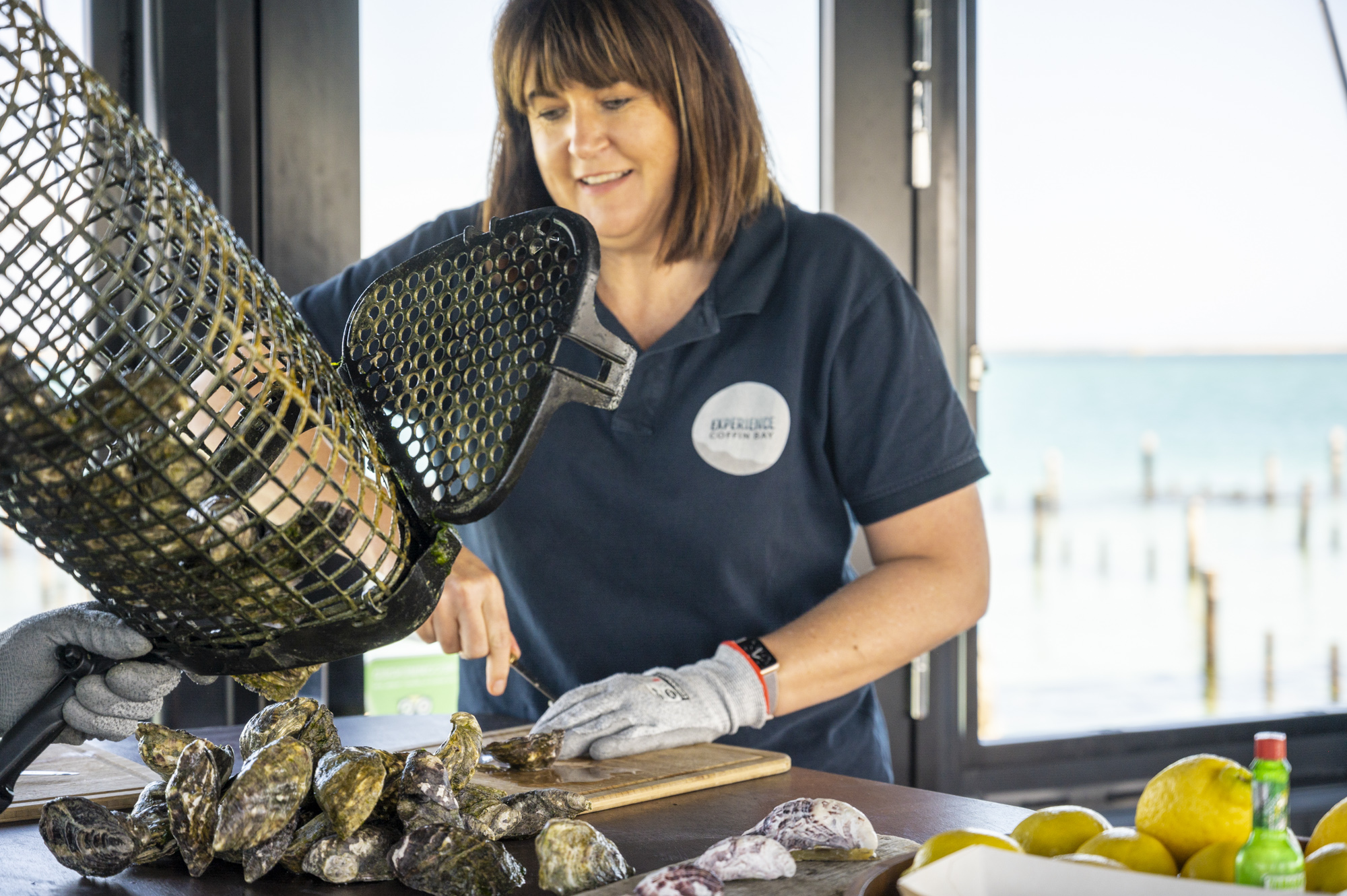 Private - Short & Sweet Oyster Farm Tour - 6 Oysters Included