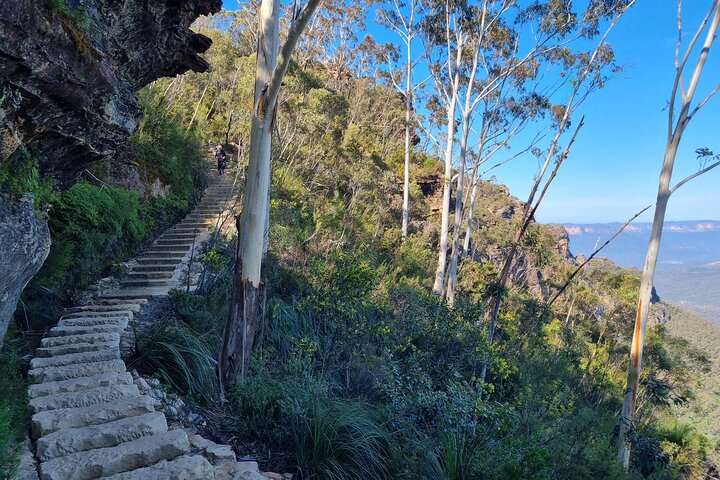 Roos, Blues & Views