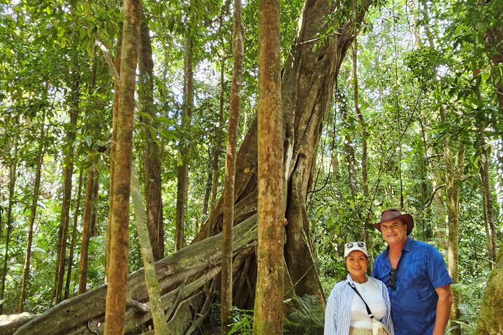 Daintree Rainforest, Mossman Gorge & Beach Day Tour w/Aboriginals