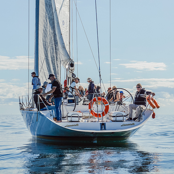 Luxury Sailing Transfer- Visit South Australia