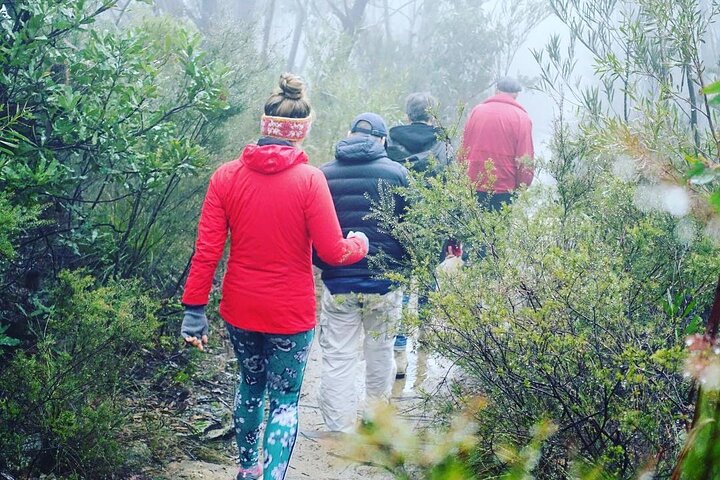 Blue Mountains Private Hiking Tour from Sydney