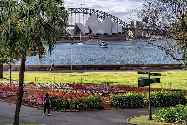 Half-Day Private Guided Tour of Sydney