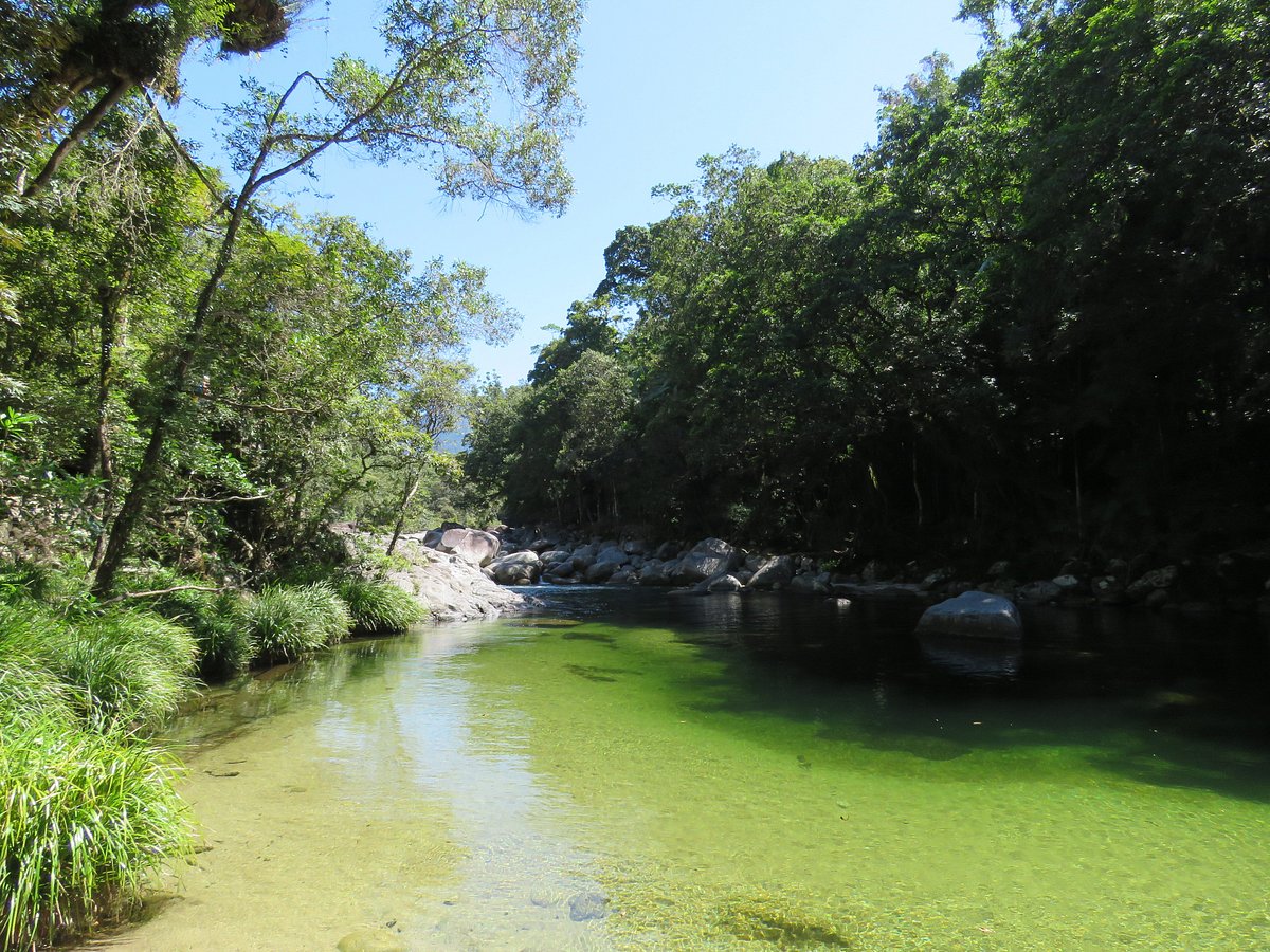 Tour 6B: Culture Beach & Fishing Tour, Daintree Rainforest & Mossman Gorge Tour