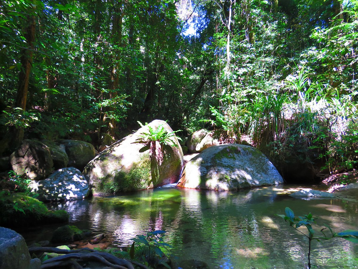 Tour 6B: Culture Beach & Fishing Tour, Daintree Rainforest & Mossman Gorge Tour