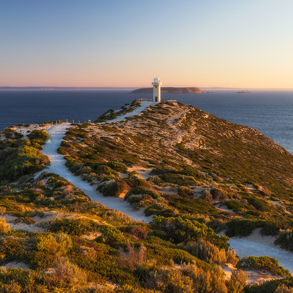 Discover Marine Park Nature Expedition