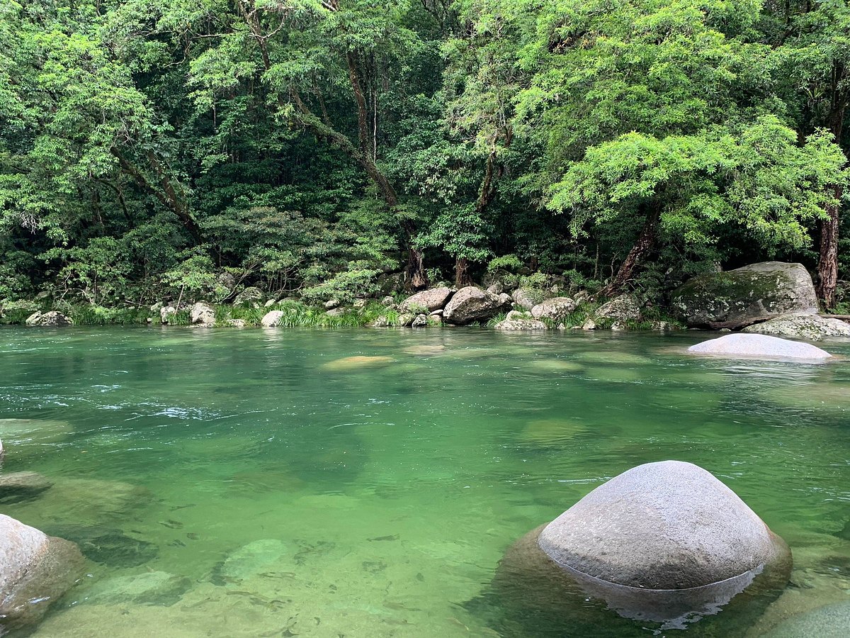 Tour 6B: Culture Beach & Fishing Tour, Daintree Rainforest & Mossman Gorge Tour