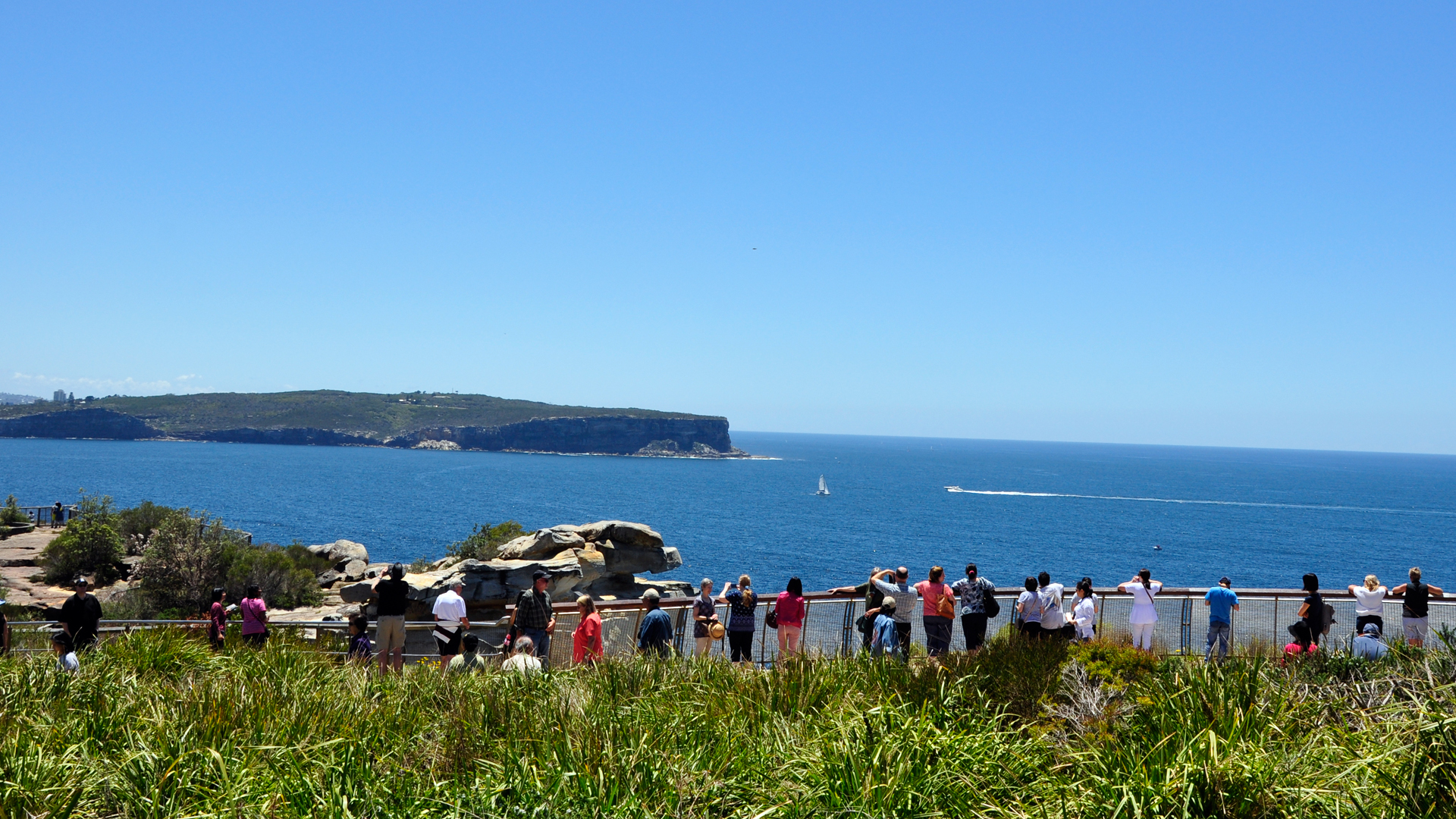 Sydney Sightseeing Bus Tour (AGNT)