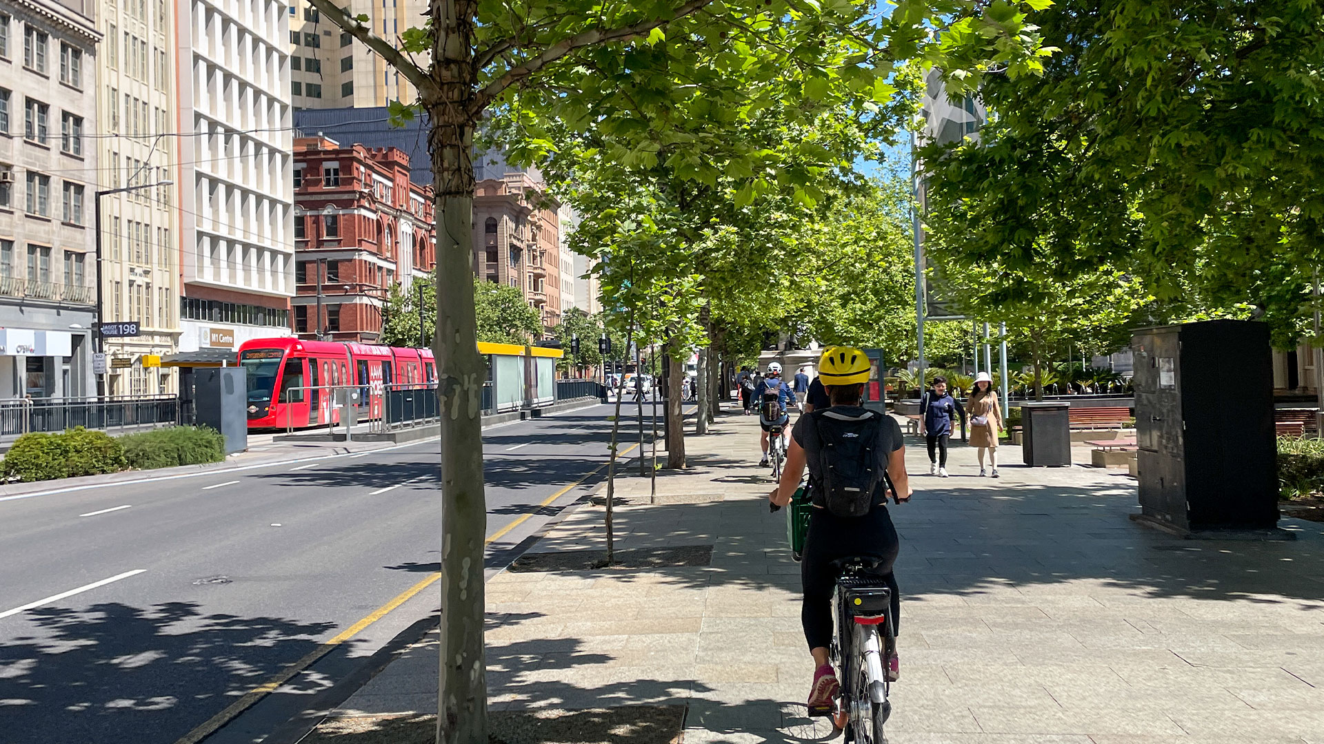 eBike Tour: Adelaide Riverbank and Park Lands