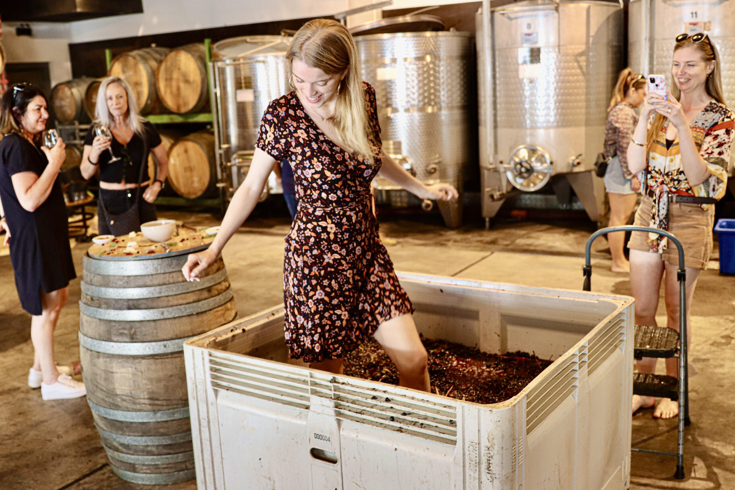 Harvest Grape Stomping